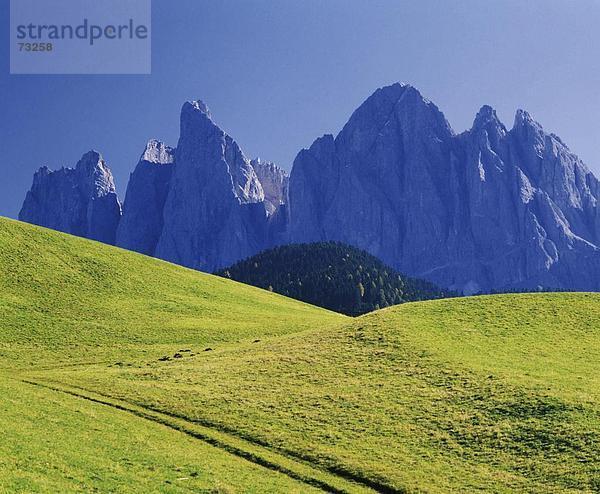 10482519  Landschaft  Alm  bewaldet  Hill  Geislerspitzen  Italien  Europa  Südtirol  Meran  Südtirol  Vilnoss