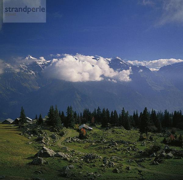 10490665  Alp Alp  Hütten  Bergpanorama  Braunwald  Glarus  Landschaft  Schweiz  Europa  Blick auf das Tal  Wolken  Wetter