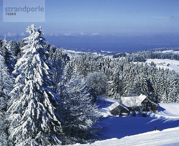Landschaftlich schön landschaftlich reizvoll Europa Schneedecke Bauernhof Hof Höfe Wald See Meer Holz Schnee Schweiz Bodensee