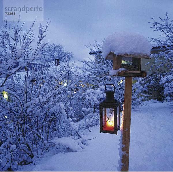 Außenaufnahme Europa Laterne - Beleuchtungskörper Vogel füttern Schnee Schweiz