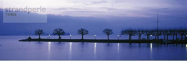 Landschaftlich schön landschaftlich reizvoll Europa Baum Beleuchtung Licht Kai Stimmung Schweiz bei Nacht