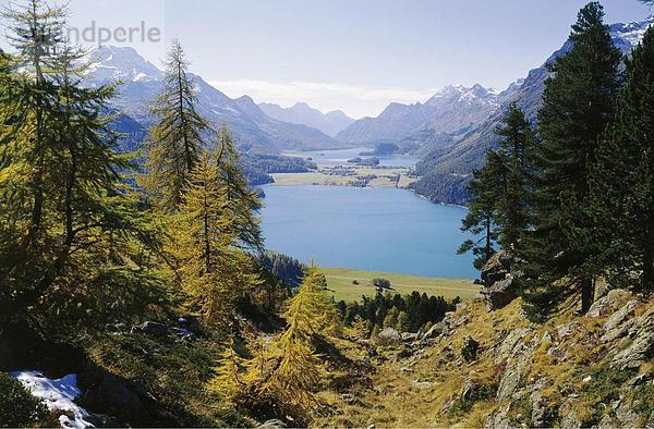 10501983  Berge  Engadin  Graubünden  Graubünden  See Landschaft  Silvaplanersee  Landschaft  Alpen  Schweiz  Europa