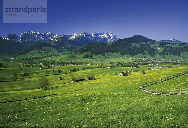 10501994  Schweiz  Europa  Alpstein  Appenzell  Bauernhäuser  Landschaft  Santis  Weissbad