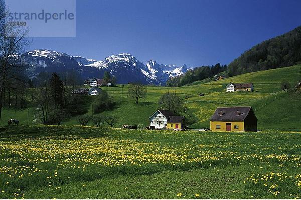 10501995  Schweiz  Europa  Alpstein  Appenzell  Bauernhäuser  Frühling  Landschaft  Santis  Weissbad