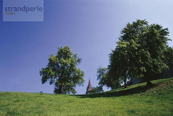 10505025  Bäume  Luegisland  Stadt  City  Luzern  Museggmauer  Turm  Turm  Wiese  Schweiz  Europa