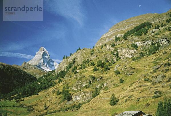 10505094  Alm  Hütten  Matterhorn  Sehenswürdigkeit  Berg  Schweiz  Europa  Tannen  Wallis  Schweiz  Europa