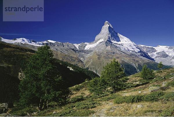 10505095  Alm  Sunnegga  Wallis  Matterhorn  Sehenswürdigkeit  Berg  Schweiz  Europa