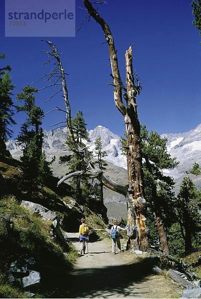 10505136  Mountainbike  Wandern  Gruppe  Rückansicht  Wallis  Riffelalp  walking  Wandern  Schweiz  Europa  Zermatt  zwei  Frauen
