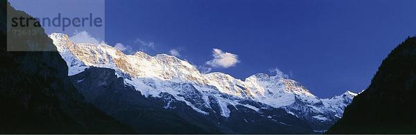 Panorama Landschaftlich schön landschaftlich reizvoll Europa Berg Berner Alpen Alpenglühen Stimmung Schweiz