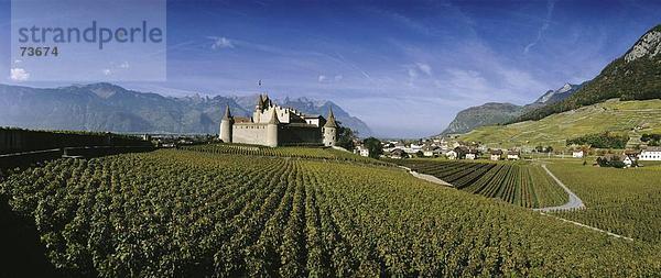 10533304  Aigle  Dorf  Gebirge  Panorama  Weinberge  Burg  Waadt  Schweiz  Europa