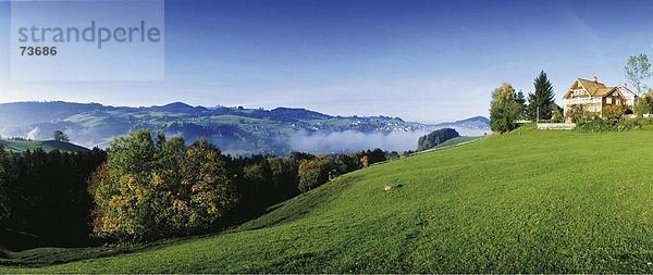 Panorama Landschaftlich schön landschaftlich reizvoll vor Europa Hügel Wald Holz Unehrlichkeit Herbst Platz Schweiz