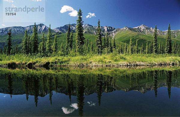 10545246  Alaska  Arktik  Nationalpark  Gebirge  Brookskette  River  Fluss  Landschaft  USA  Amerika  Nordamerika  Spiel