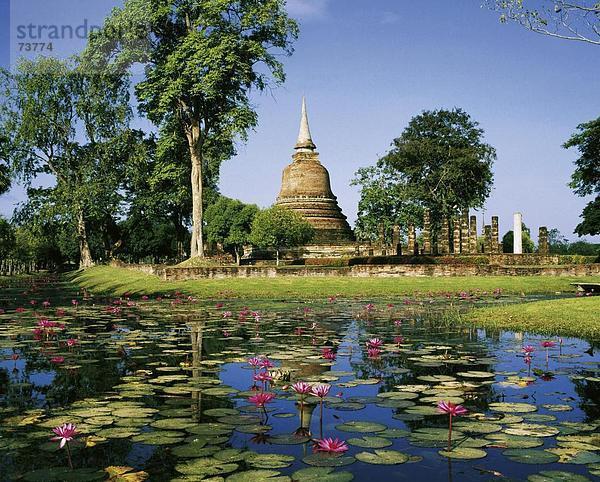 10548803  Kultur  Seerosen  Teich  Sukothai  Tempel  Thailand  Asien  Wat Sra Sri