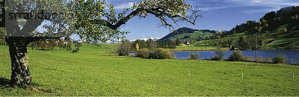 Panorama Landschaftlich schön landschaftlich reizvoll Europa Hügel See Meer Herbst Schweiz Kanton Zürich