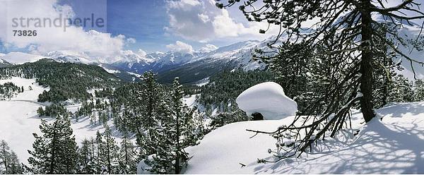 10550012  Landschaft  Schweiz  Europa  Berge  Graubünden  Graubünden  Panorama  Schnee  Tal  Val Müstair  winter