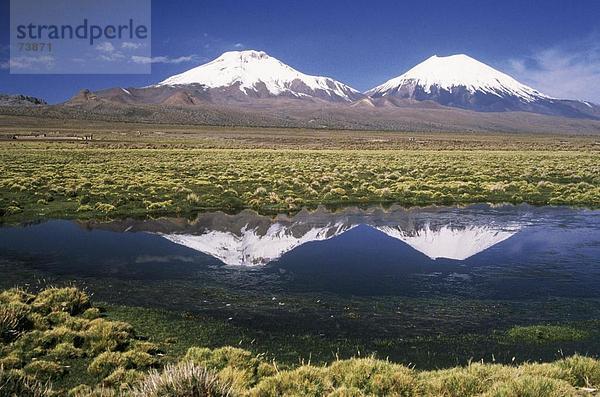 10552642  Bolivien  Südamerika  Körper von Wasser  Landschaft  Sajama  Nationalpark  Steppe  Vulkane Parinacota