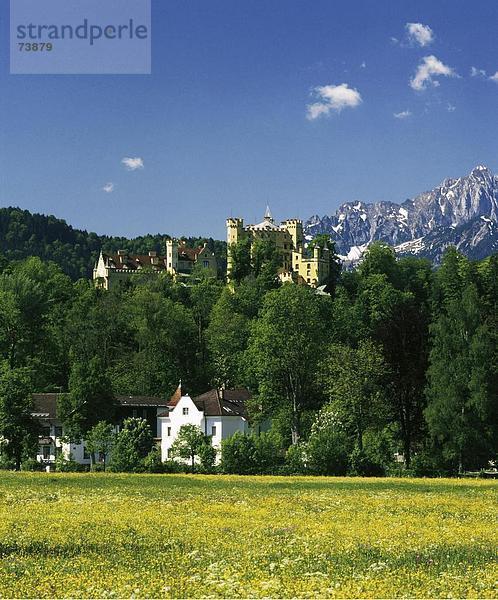 10552724  Berge  Blume Wiese  Deutschland  Europa  hohe Schwan Region  Landschaft  Oberbayern  Burg
