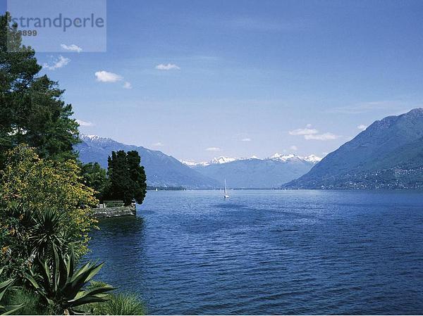 10554780  Brissago Insel  Insel  Lago Maggiore  See  Meer  Schnee Berge  Seeufer  Tessin  Schweiz  Europa