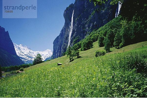 10558089  Alm  Bern  Landschaft  Lauterbrunnen  Schweiz  Europa  Staub-Bach  Falls  Wasserfall