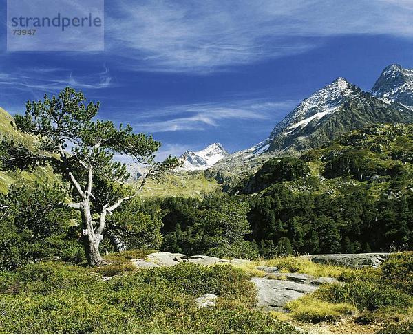 Landschaftlich schön landschaftlich reizvoll Berg Straße Alpen Berner Oberland Kanton Bern