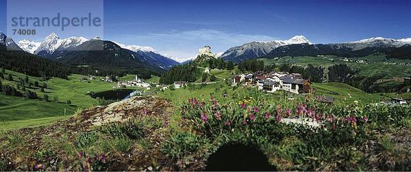 10579943  alpine  Alpen  Berge  Engadin  Unterengadin  Blume Wiese  Fernbedienung  Graubünden  Graubünden  Landschaft  Panorama  Sw
