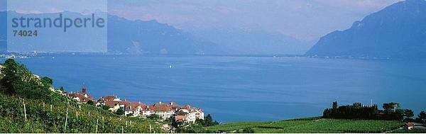 10583043  Abend Stimmung  Blick  Blick  Rhône-Mündung  Dorf Rivaz  Genfersee  Genfersee  Lac Leman  Panorama  Schweiz