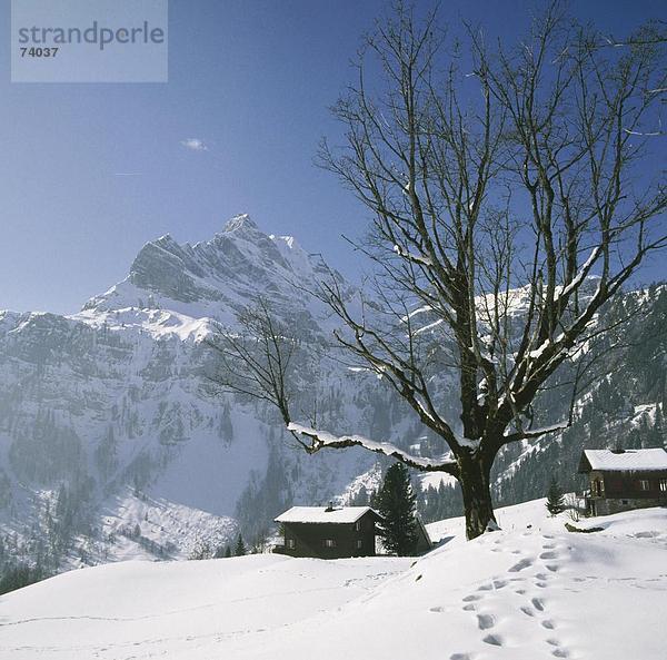 10584362  Baum  Berge  Braunwald  Chalets  Glarus  Landschaft  lokalen og  Schnee  Schweiz  Europa  winter