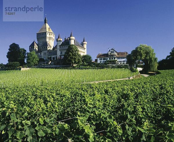 10612893  Ansicht  Chateau Vufflens  Burg  Schweiz  Europa  Waadt  Weinbau