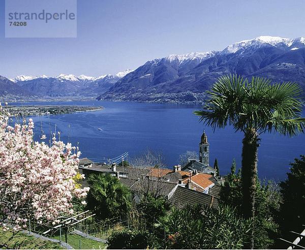 Europa See Meer Dorf Ansicht sehen blicken Lago Maggiore Ronco Schweiz Kanton Tessin