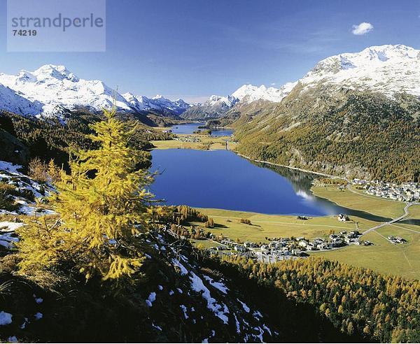10612945  Berge  Engadin  Oberengadin  Schweiz  Europa  Landschaft  Graubünden  Graubünden  Herbst  Seen  Silvaplana  über