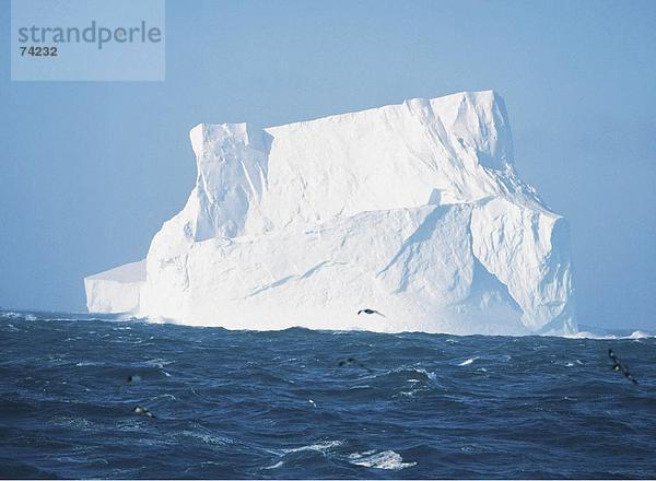 10613027  Antarktis  Drake Passage  Eis  Eisberg  Meer stormily  Mesa