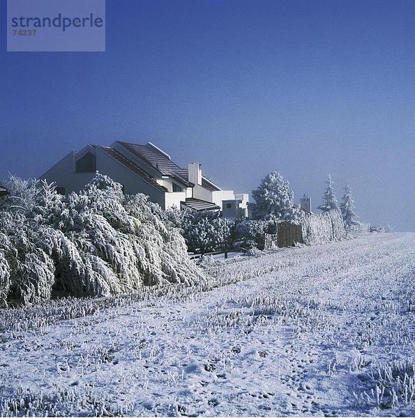 Europa Winter Wohnhaus Baum Gebäude Strauch Nebel Feld Frost Schweiz