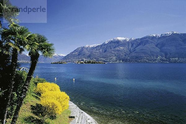 10617475  Berge  Brissago-Inseln  Inseln  Lago Maggiore  See  Meer  Panorama  Ronco  Tessin  Schweiz  Europa