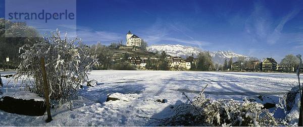Weitwinkel Panorama Europa Winter Kälte Palast Schloß Schlösser See Meer Schweiz Werdenberg