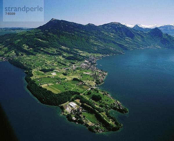 10623608  Luftaufnahme  aerial view  See  Meer  Landschaft  Zentralschweiz  Schweiz  Europa  Rigi  Vierwaldstattersee  l