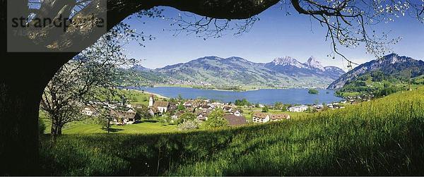 10623674  Landschaften  lauwarme Erz  Lauerzersee  See  Mythen  Panorama  Schweiz  Europa  Schwyz  Weitwinkel