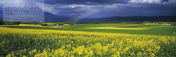 10623706  düster  düstere  Landschaft  Orbe  Panorama  Vergewaltigung Felder  Regenbogen  Schweiz  Europa  Stimmung  Waadt  Wolken  Wetter