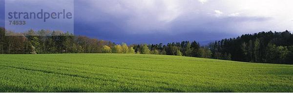 Panorama Landschaftlich schön landschaftlich reizvoll Europa Wolke grün Wald Holz Feld Wiese Schweiz Wetter