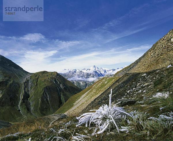 10624620  Graubünden  Graubünden  hinter  Urner Alpen  Alpen  Gebirge  Landschaft  Oberalp  Pass  Raureif  Schweiz  Europa