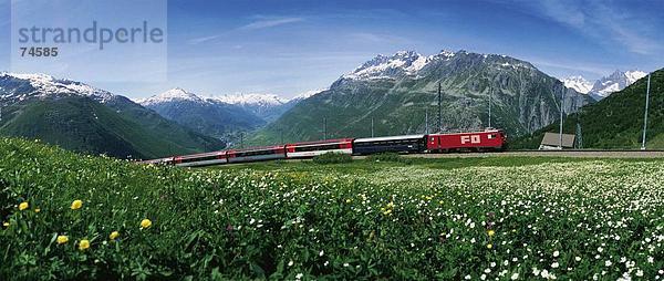 10625263  Bahn  Blumenwiese  Glacier express  Zug  Berge  Alpen  Oberalp  Pass  Panorama  Landschaft  Alpen  RhB  vall