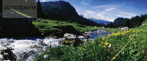 Panorama Landschaftlich schön landschaftlich reizvoll Europa fließen Fluss Bach Schweiz