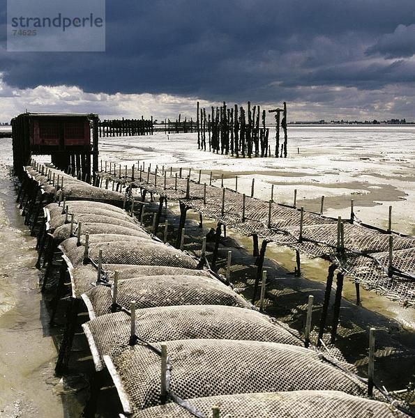 10627900  Anordnung  Gehäuse  oyster Kultur  Angeln  Fischerei  Frankreich  Europa  Körbe  Normandie  Stimmung  Wolken  Beiträge  bl