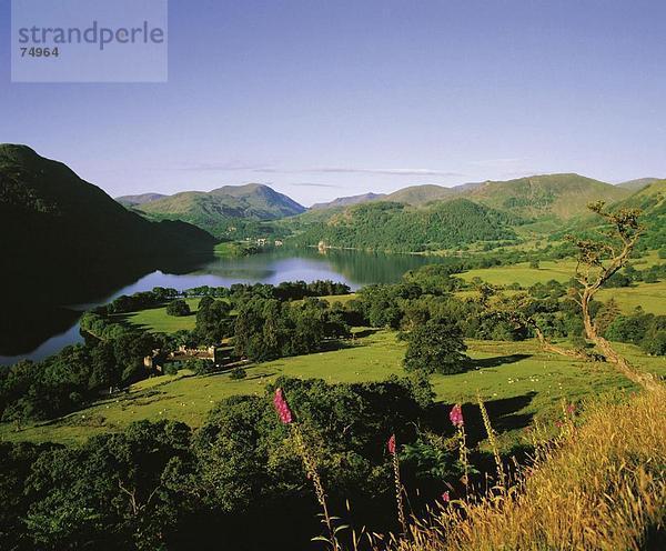Landschaftlich schön landschaftlich reizvoll Europa Großbritannien Hügel Wald See Meer Holz Wiese Cumbria England Lake District