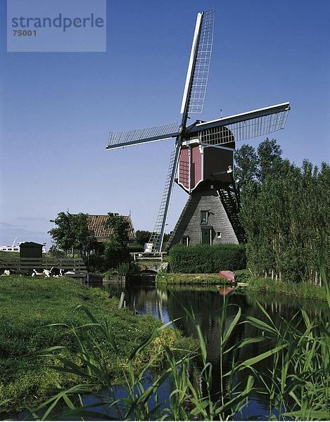 10631828  River  Fluss  Holland  Hoogmade  Niederlande  Reed  Ufer  Windmühle  Gebäude  Wipmolen