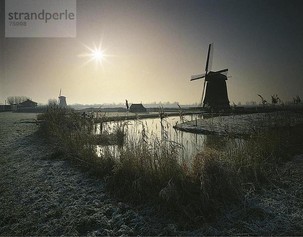 10631835  Gewässer  Holland  Landschaft  Niederlande  Raureif  Frost  Reed  Sonne  Stimmung  Wasser  Wasser  Sprung  Windmühlen  loden