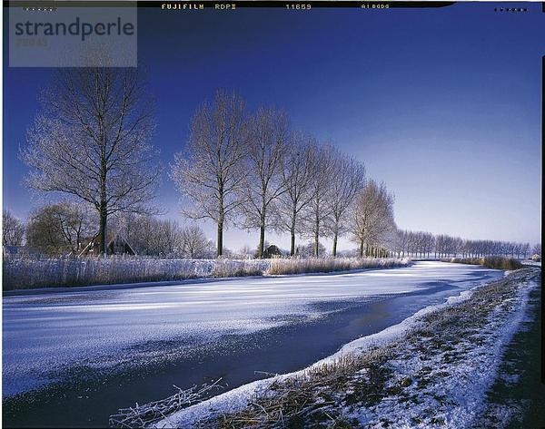 10631870  Bäume  dyke  Eis  River  Fluss  Frost  Holland  Noord-Holland  Raureif  Reed  Niederlande  Landschaft  Schnee  Strand  wi