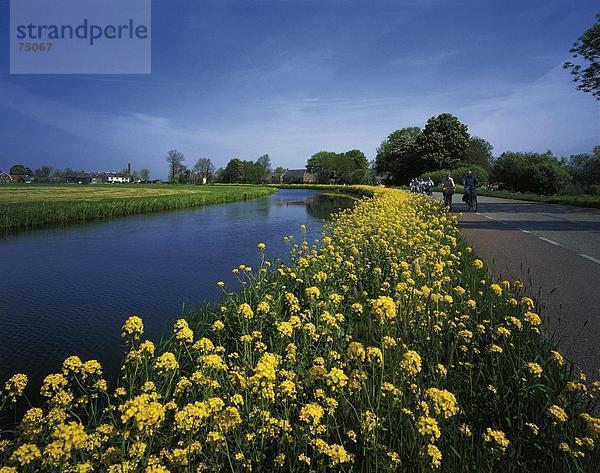 10631894  Baambrugge  Blumen  De Vechtoever  Radrennfahrer  River  Fluss  Freizeit  Gewässer  Holland  Kanal  Kanal  scener