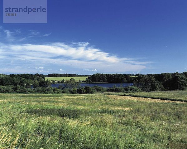 10633830  Bäume  Brandenburg  Körper Landschaft Gramzow  See  Wasser  Meer  Uckermark  Wald  Wiese  Wald  Wiesen  Wolke  Himmel