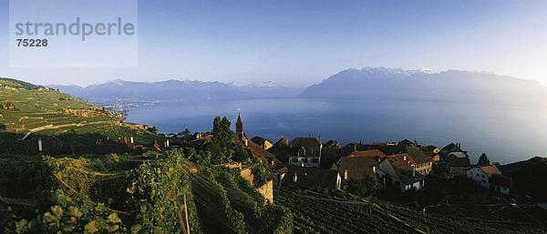 10634198  Abend Stimmung  Genfersee  Lavaux  Genfersee  Panorama  Rivaz  Schweiz  Europa  Waadt  Wein Bereich