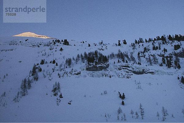 Landschaftlich schön landschaftlich reizvoll Berg Baum Wald Holz Schatten Alpenglühen Abenddämmerung Stimmung Schnee Dämmerung